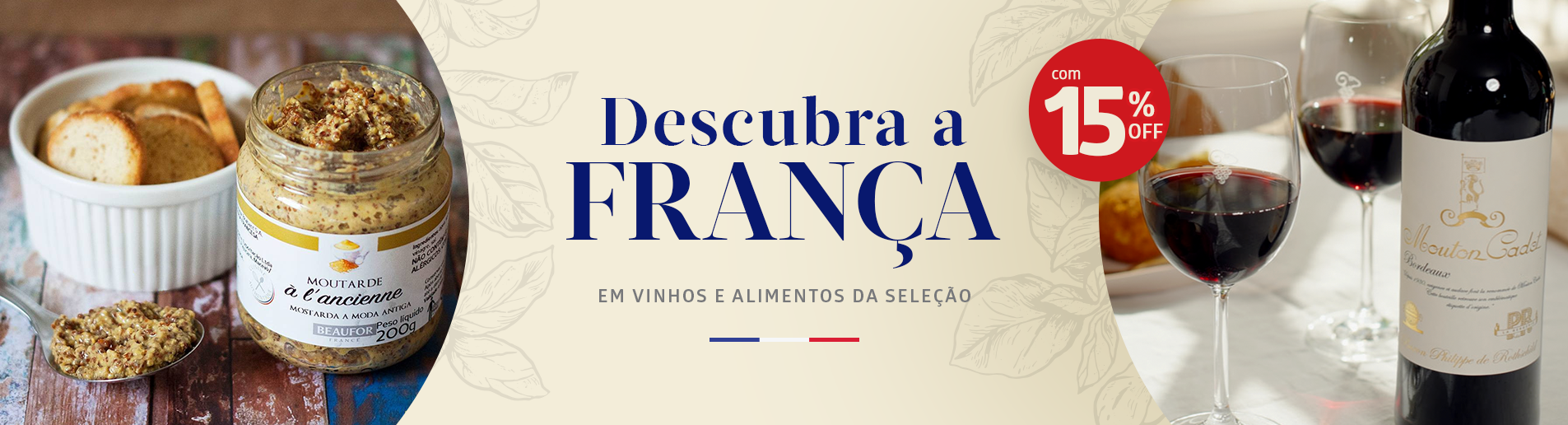 Descubra a França